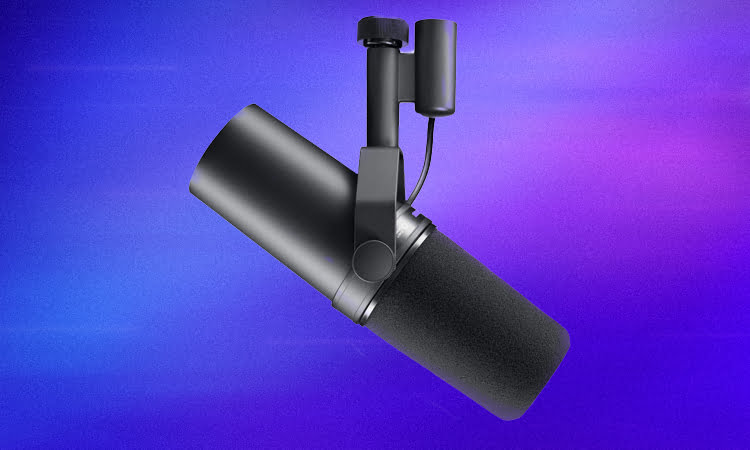 7 Best Rapping Microphones 3 Shure SM7B