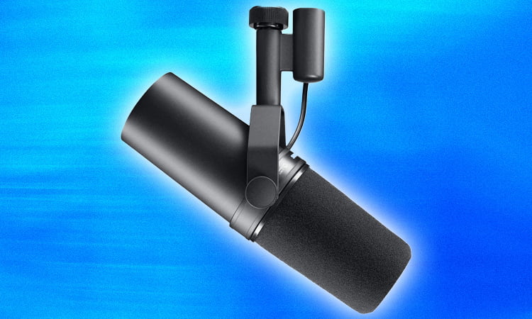 10 Best Microphones for Voice Recording 9 Shure SM7B